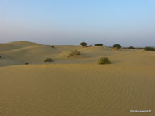 Désert du Thar - Inde